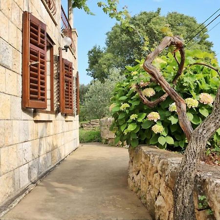 Studio Airport Dubrovnik Čilipi Dış mekan fotoğraf
