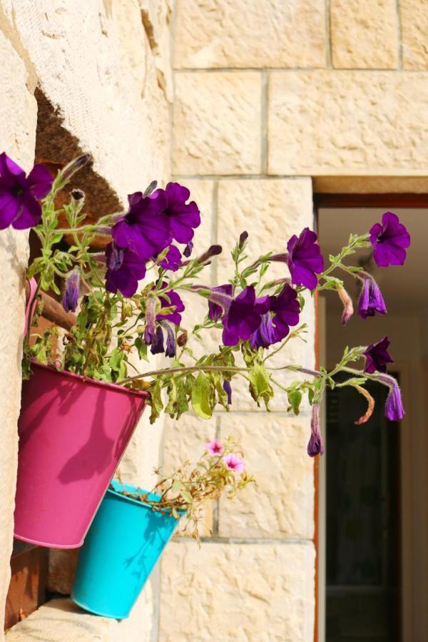 Studio Airport Dubrovnik Čilipi Dış mekan fotoğraf